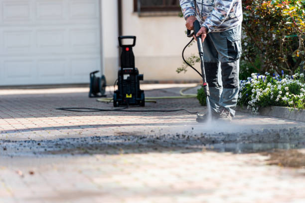 Best Affordable Power Washing  in Auburn, MI