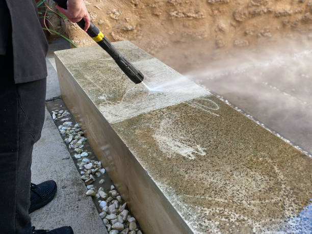 Best Roof Pressure Washing  in Auburn, MI